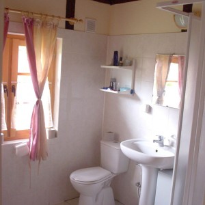 Domki standard